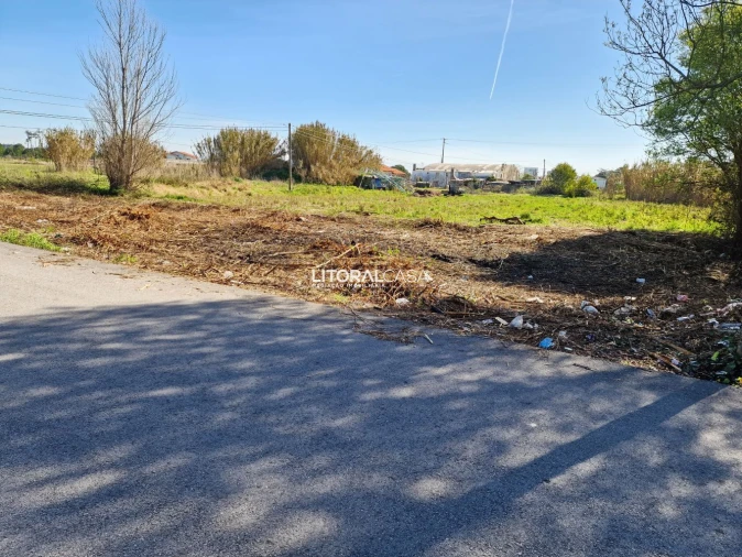 Terreno para Venda em Murtosa Foto 12