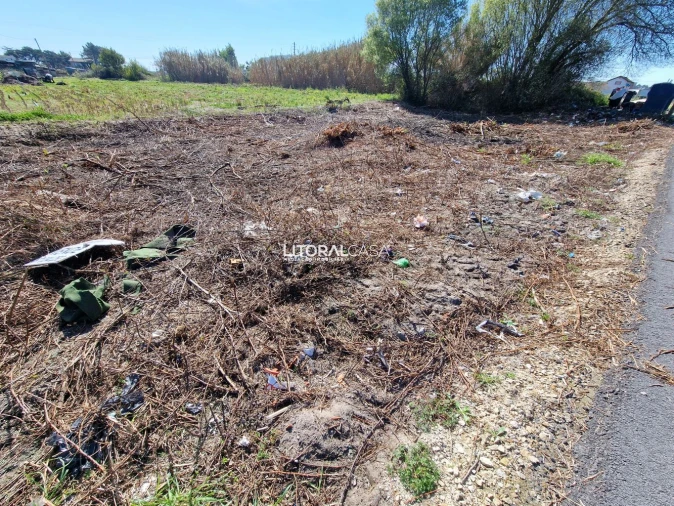 Terreno para Venda em Murtosa Foto 8