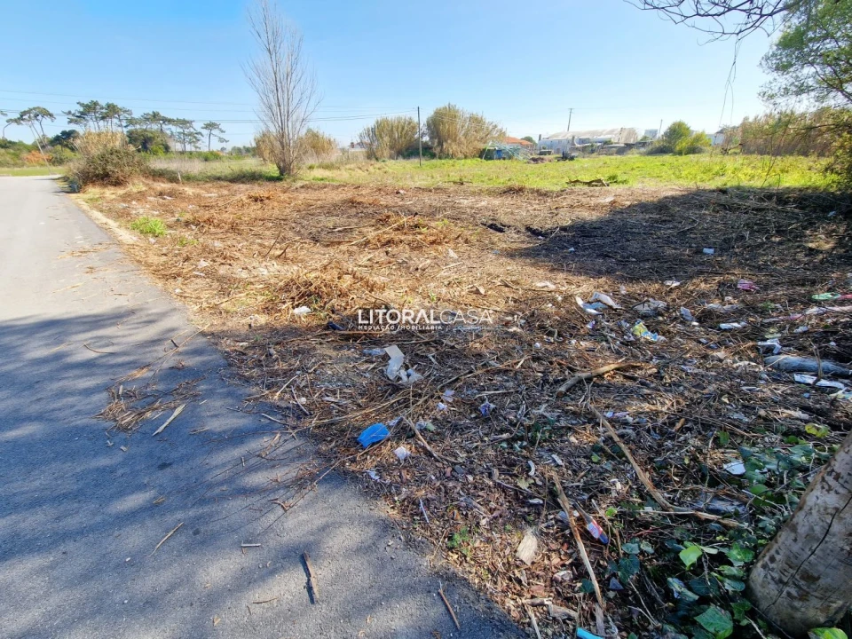 Terreno para Venda em Murtosa Foto 3