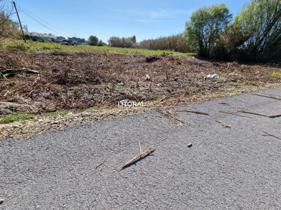 Terreno para Venda em Murtosa Foto 9