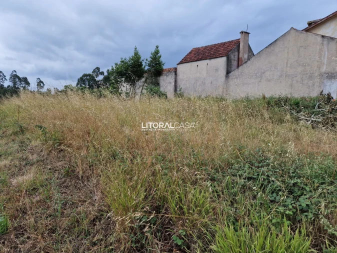 Terreno para Venda em Requeixo, Nossa Senhora de Fátima e Nariz Foto 9