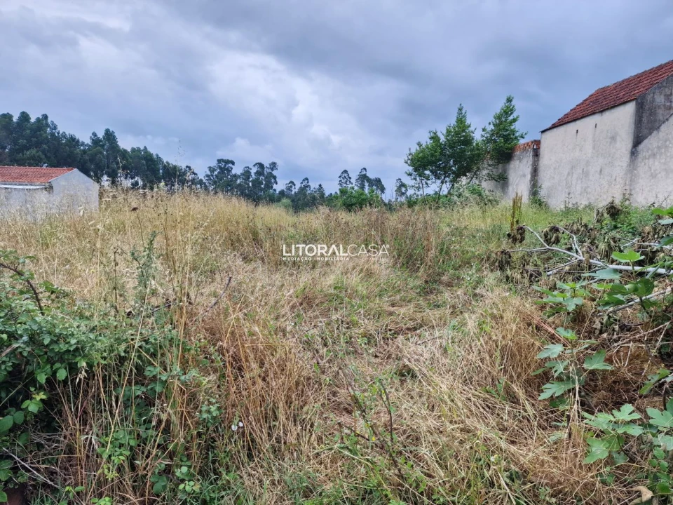 Terreno para Venda em Requeixo, Nossa Senhora de Fátima e Nariz Foto 10