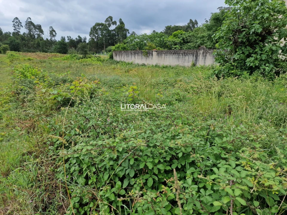 Terreno para Venda em Requeixo, Nossa Senhora de Fátima e Nariz Foto 11