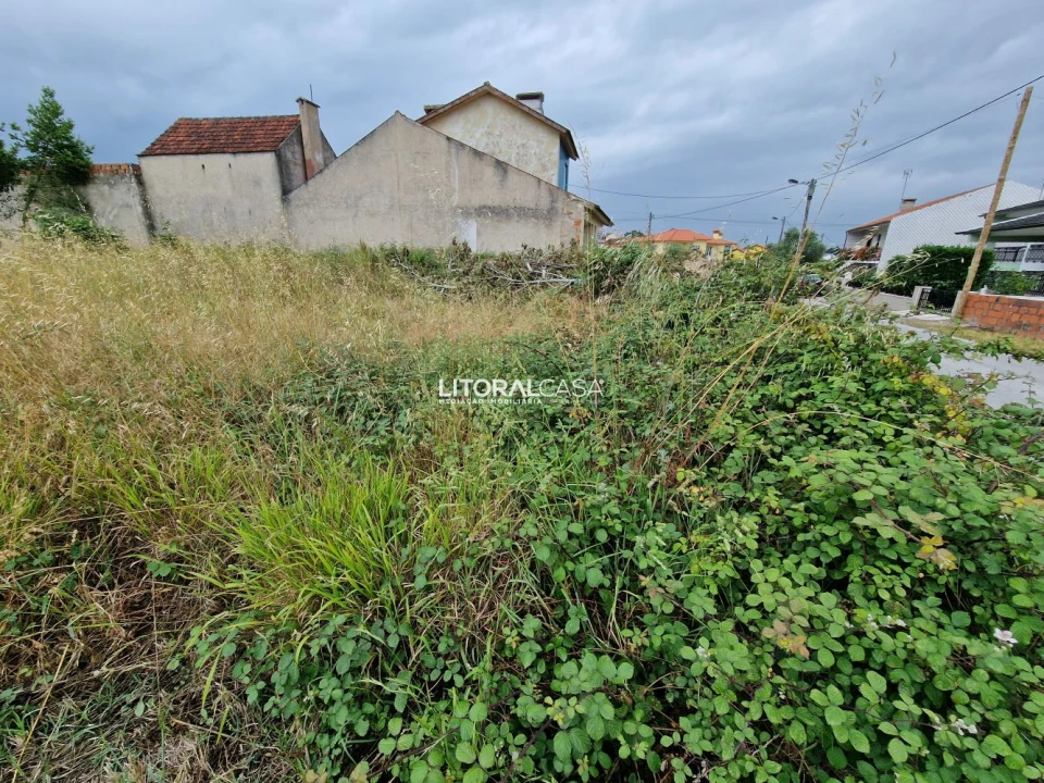 Terreno para Venda em Requeixo, Nossa Senhora de Fátima e Nariz Foto 8