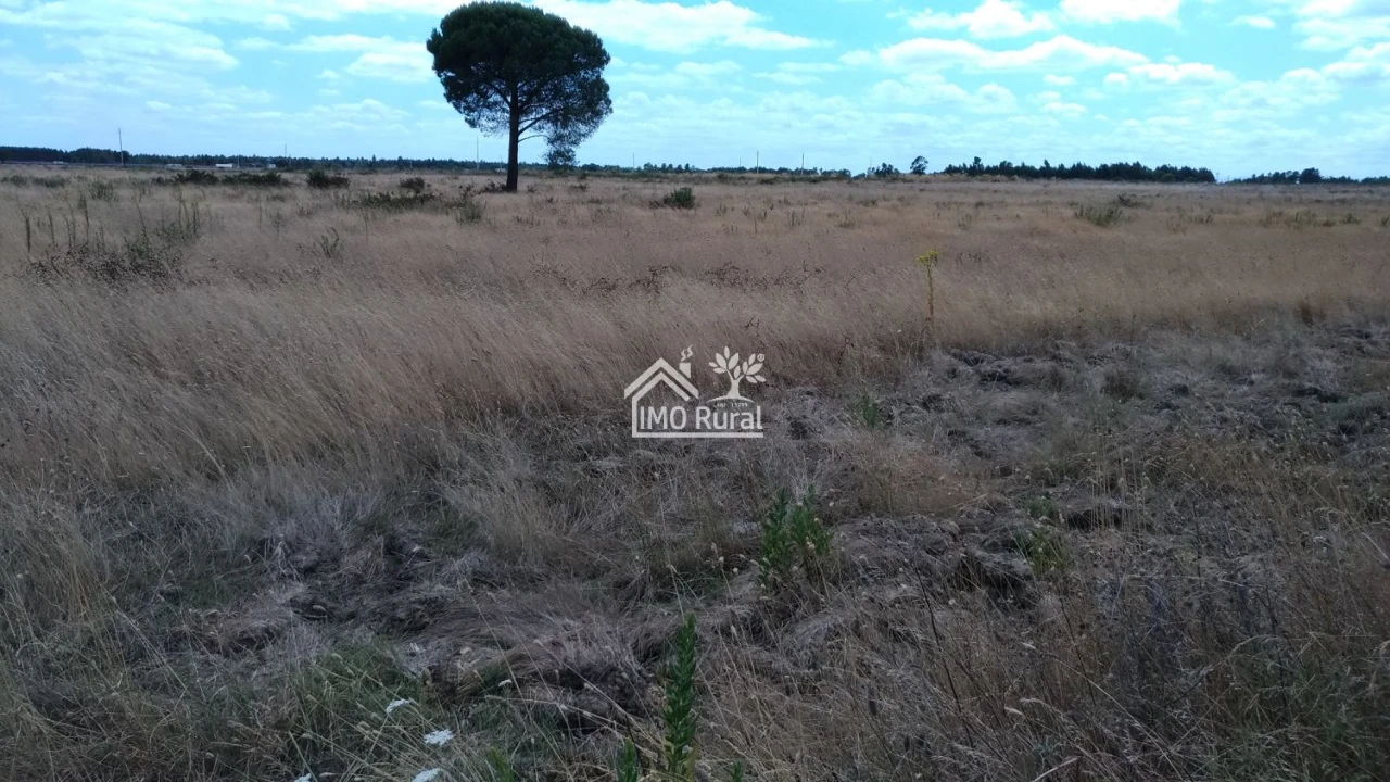 Terreno para Venda em Glória do Ribatejo e Granho Foto 1