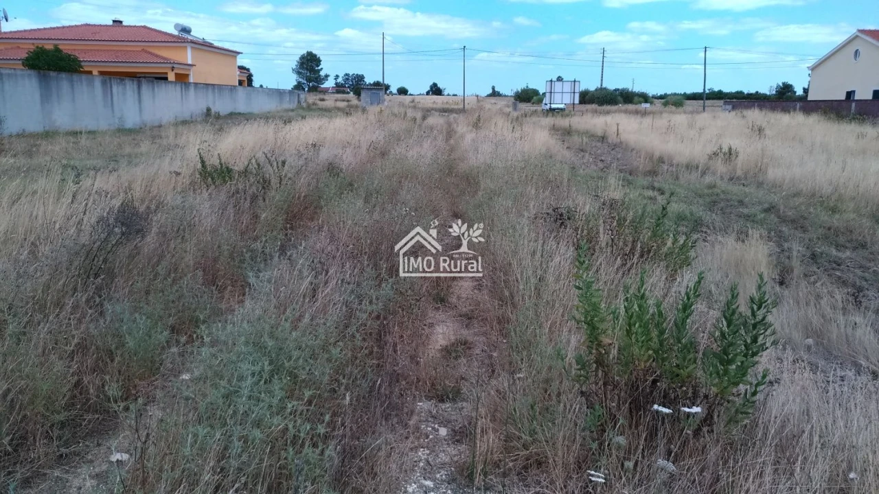 Terreno para Venda em Glória do Ribatejo e Granho Foto 8