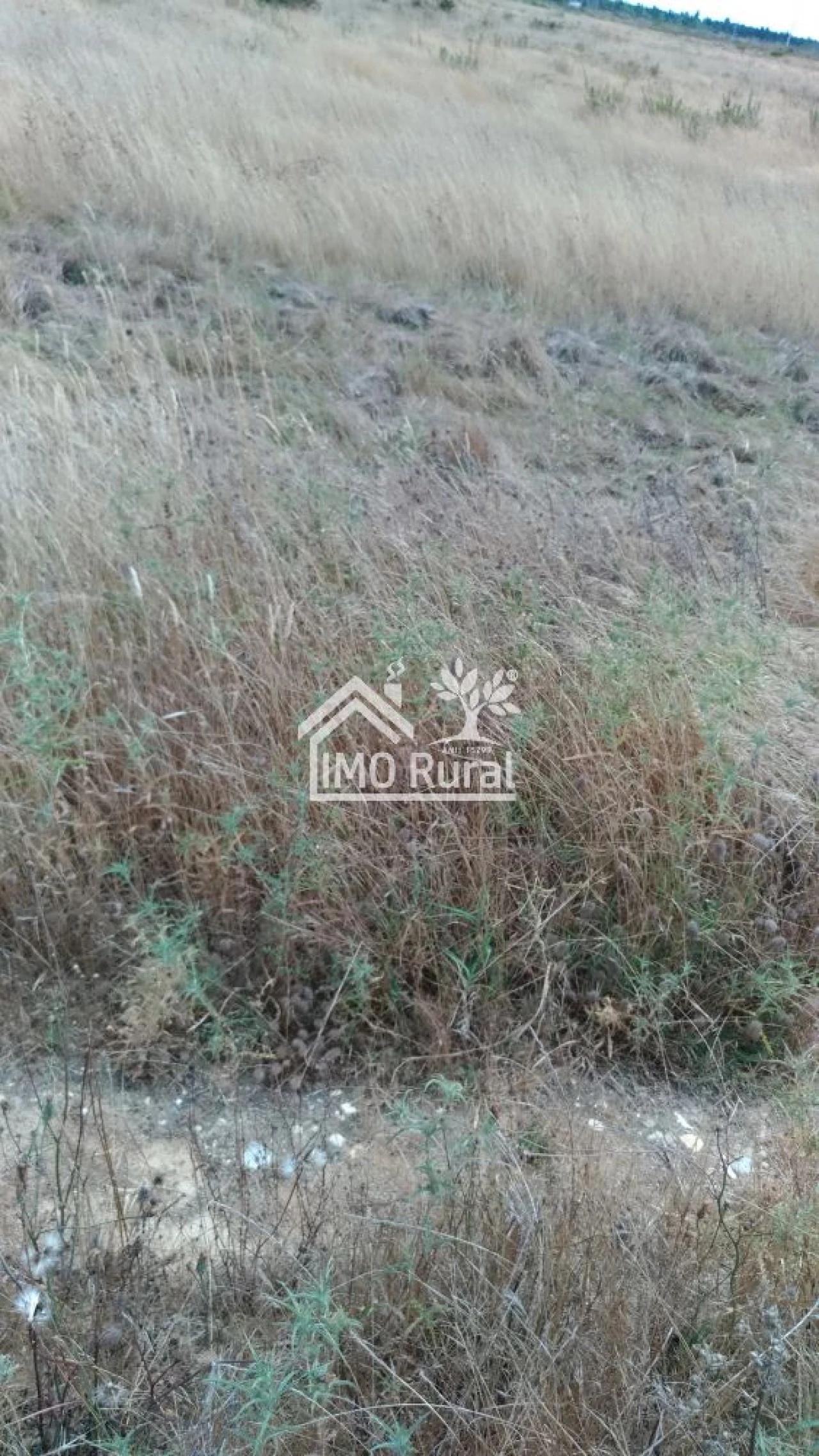 Terreno para Venda em Glória do Ribatejo e Granho Foto 15