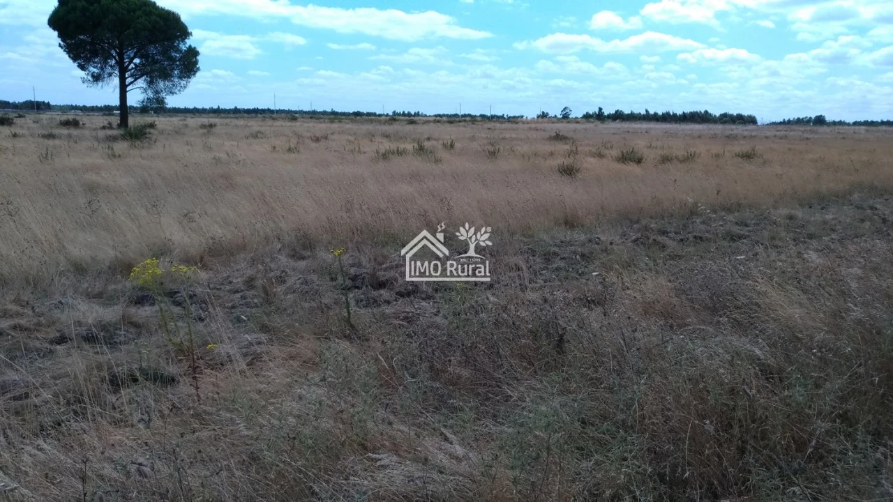 Terreno para Venda em Glória do Ribatejo e Granho Foto 12
