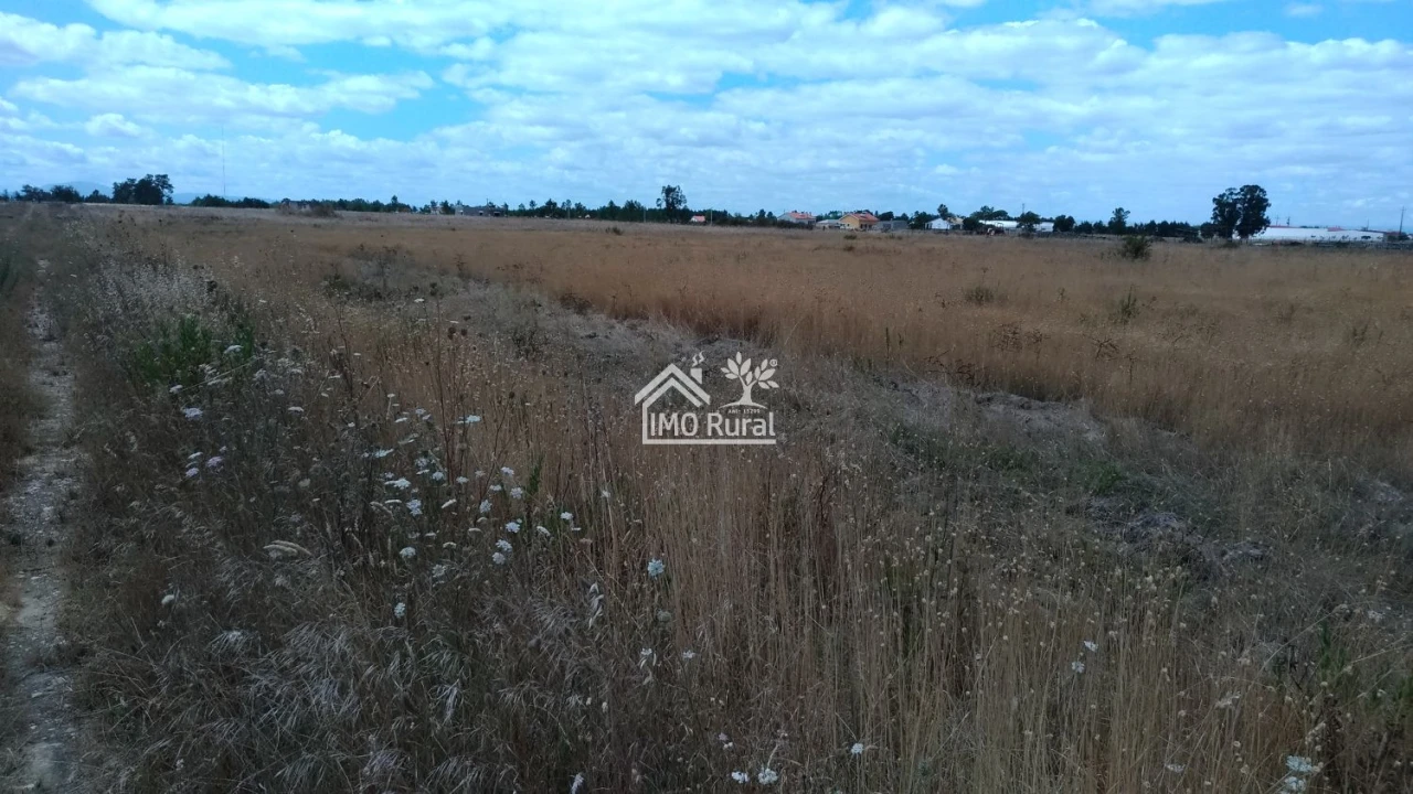 Terreno para Venda em Glória do Ribatejo e Granho Foto 13