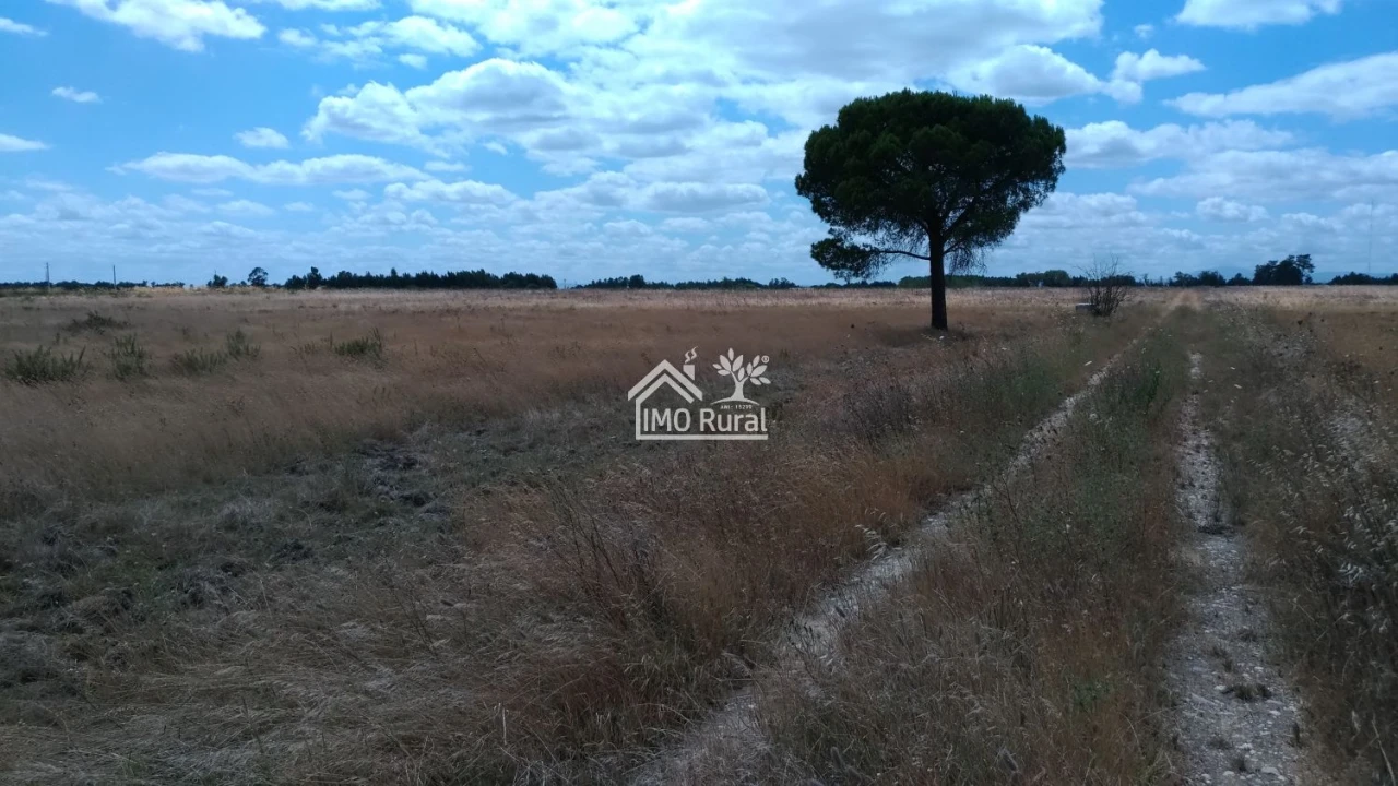 Terreno para Venda em Glória do Ribatejo e Granho Foto 17