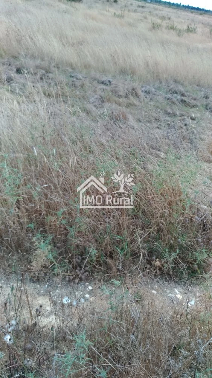 Terreno para Venda em Glória do Ribatejo e Granho Foto 15