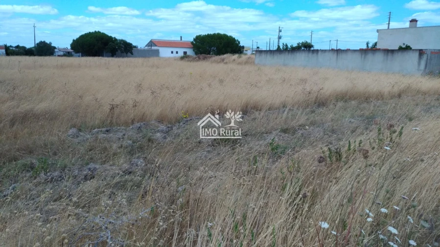 Terreno para Venda em Glória do Ribatejo e Granho Foto 14