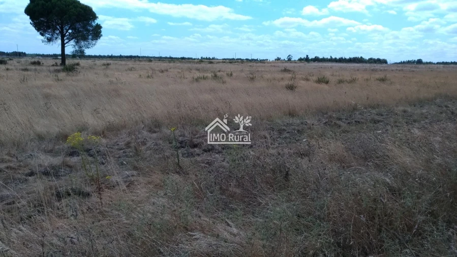 Terreno para Venda em Glória do Ribatejo e Granho Foto 12