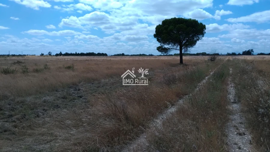 Terreno para Venda em Glória do Ribatejo e Granho Foto 17