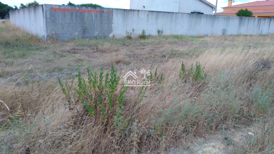 Terreno para Venda em Glória do Ribatejo e Granho Foto 9