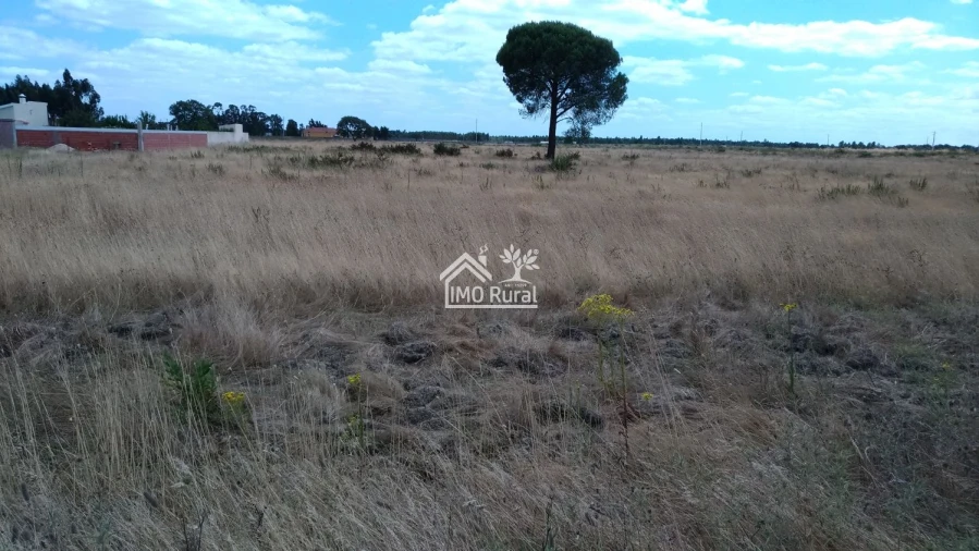 Terreno para Venda em Glória do Ribatejo e Granho Foto 11