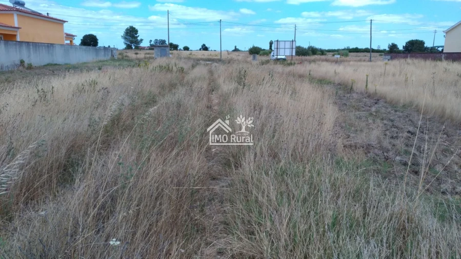 Terreno para Venda em Glória do Ribatejo e Granho Foto 7