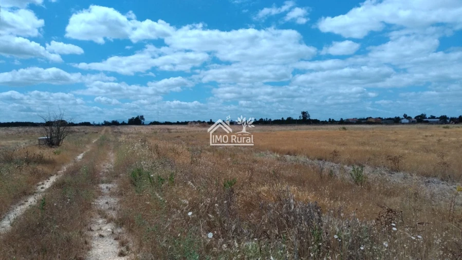 Terreno para Venda em Glória do Ribatejo e Granho Foto 23