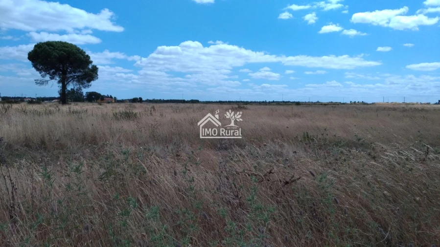 Terreno para Venda em Glória do Ribatejo e Granho Foto 22