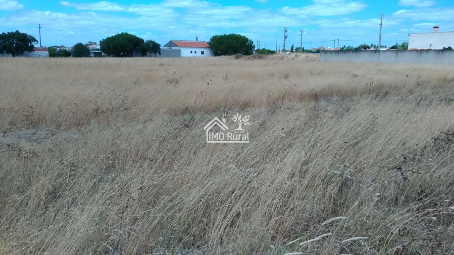 Terreno para Venda em Glória do Ribatejo e Granho Foto 19