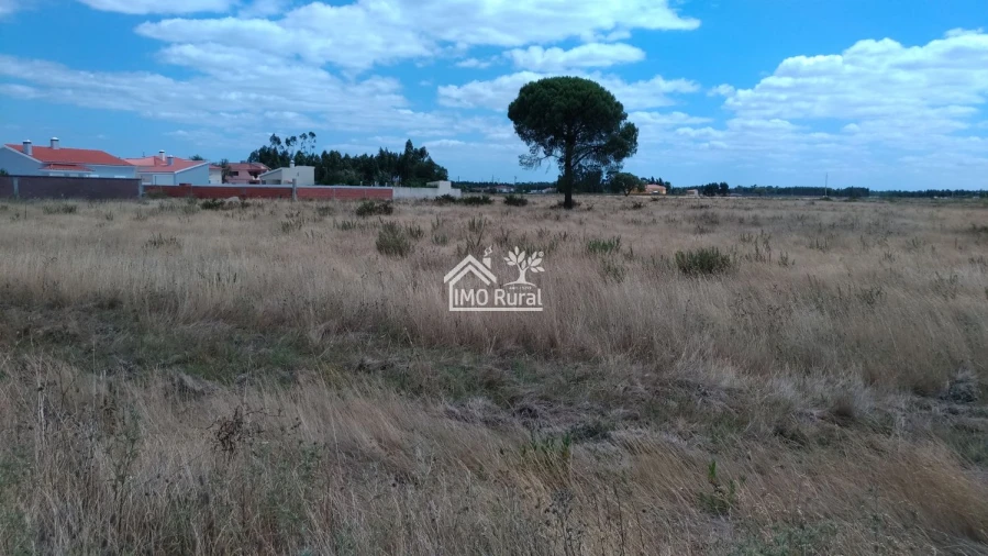 Terreno para Venda em Glória do Ribatejo e Granho Foto 20