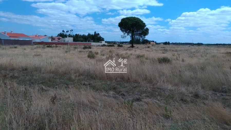 Terreno para Venda em Glória do Ribatejo e Granho Foto 21