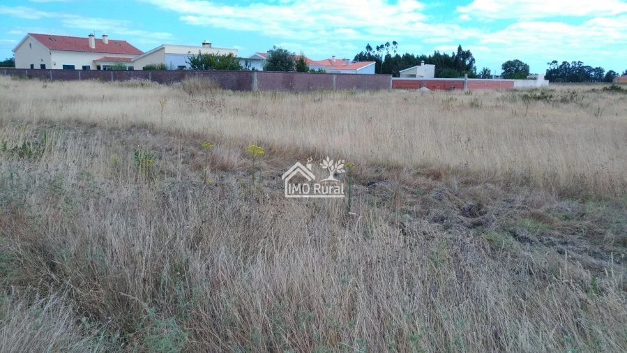 Terreno para Venda em Glória do Ribatejo e Granho Foto 4