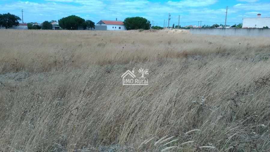 Terreno para Venda em Glória do Ribatejo e Granho Foto 18