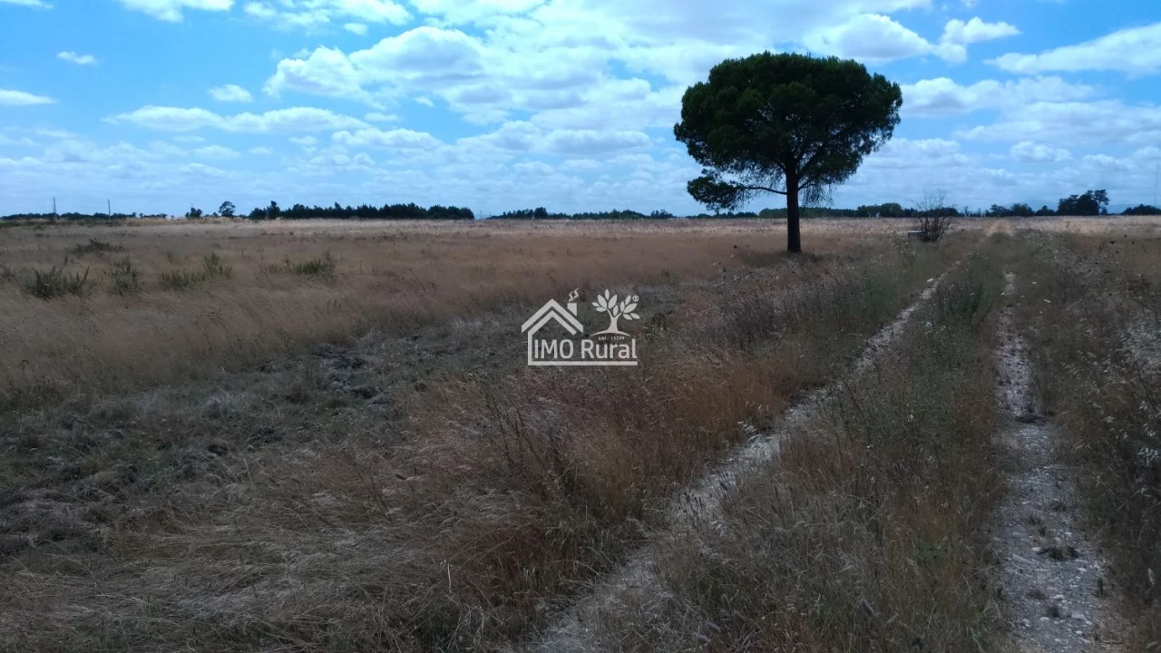 Terreno para Venda em Glória do Ribatejo e Granho Foto 16