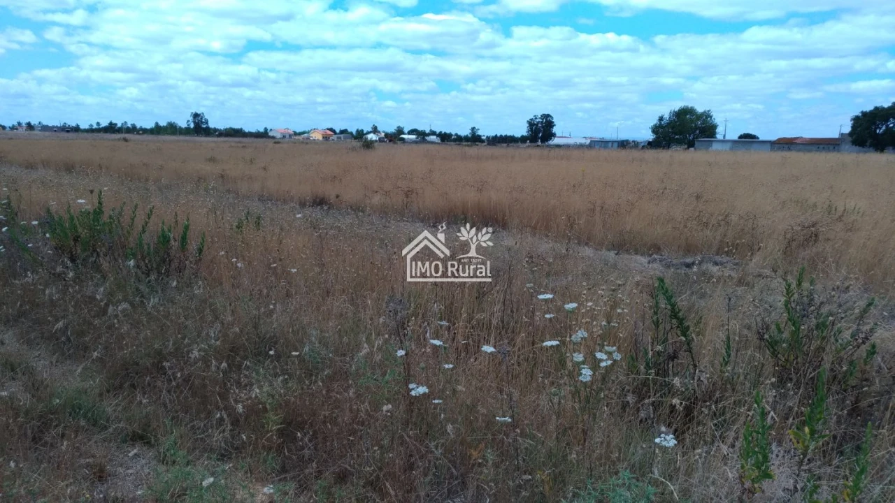 Terreno para Venda em Glória do Ribatejo e Granho Foto 10