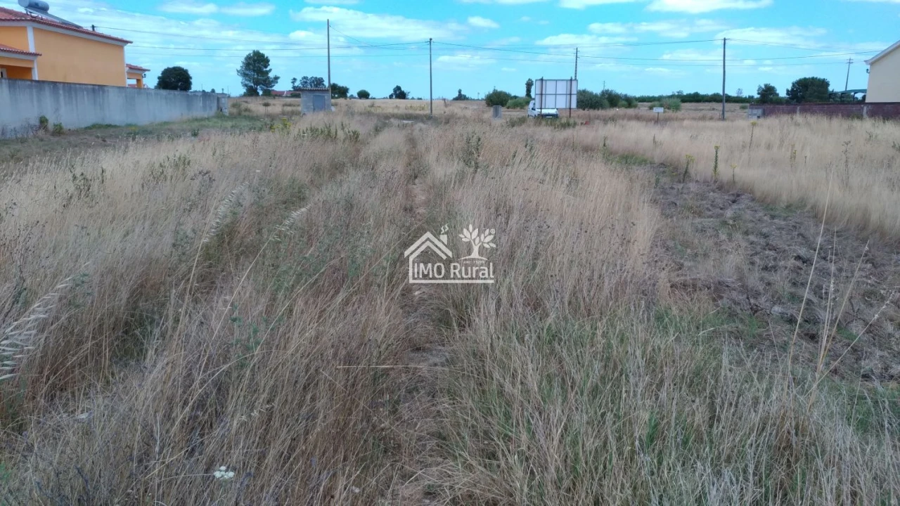 Terreno para Venda em Glória do Ribatejo e Granho Foto 7