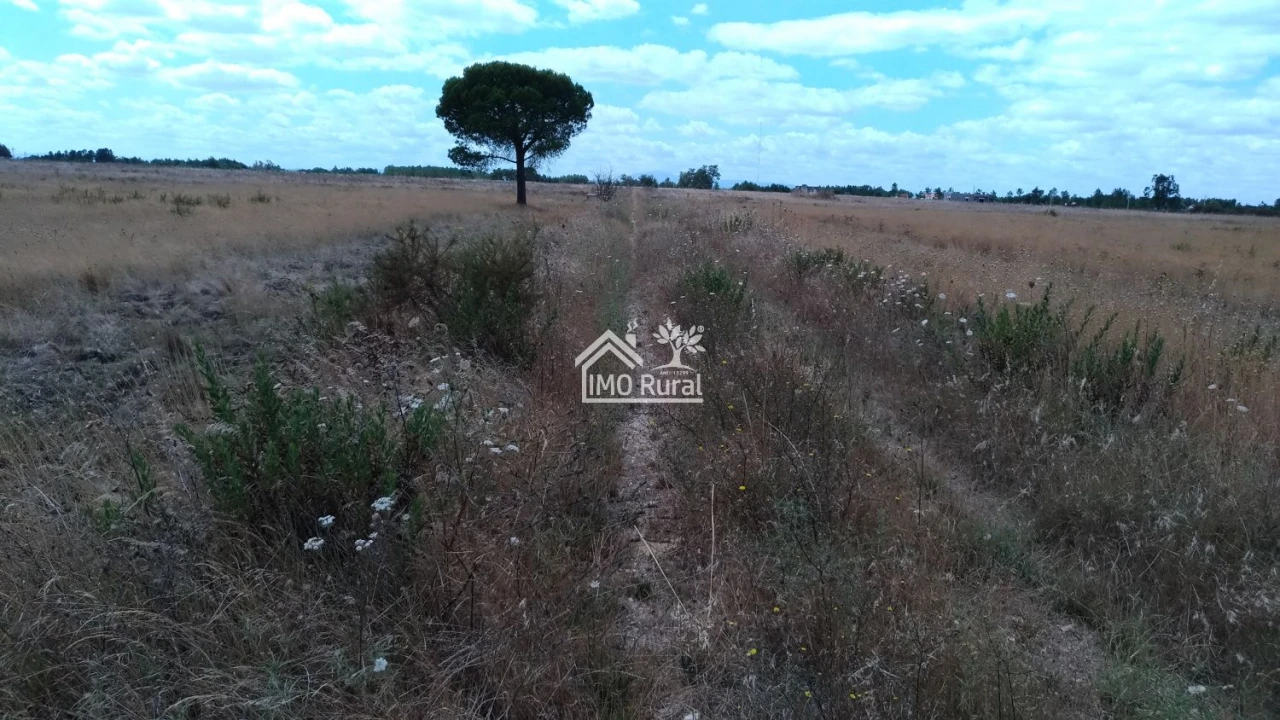 Terreno para Venda em Glória do Ribatejo e Granho Foto 6