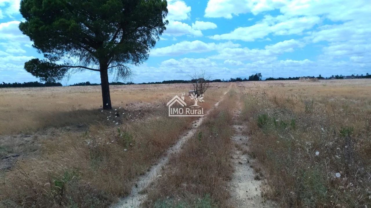 Terreno para Venda em Glória do Ribatejo e Granho Foto 5
