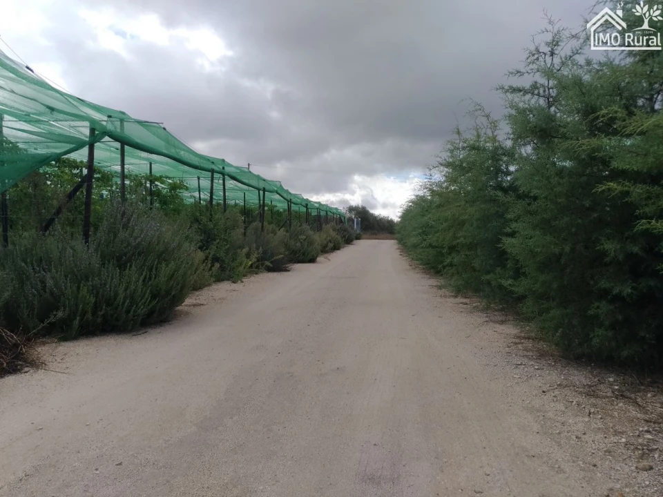Quinta T0 para Venda em Abrantes (São Vicente e São João) e Alferrarede Foto 2