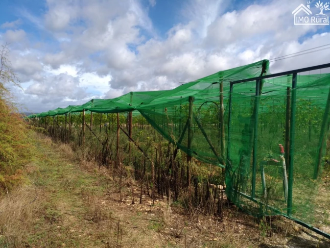 Quinta T0 para Venda em Abrantes (São Vicente e São João) e Alferrarede Foto 6