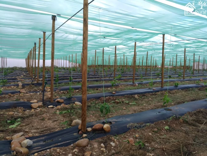 Quinta T0 para Venda em Abrantes (São Vicente e São João) e Alferrarede Foto 15