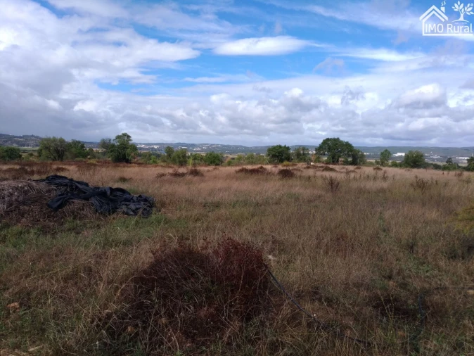 Quinta T0 para Venda em Abrantes (São Vicente e São João) e Alferrarede Foto 23