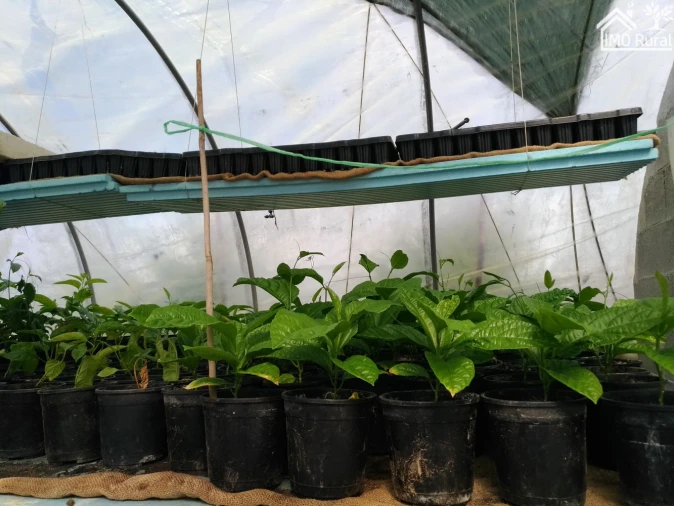 Quinta T0 para Venda em Abrantes (São Vicente e São João) e Alferrarede Foto 21