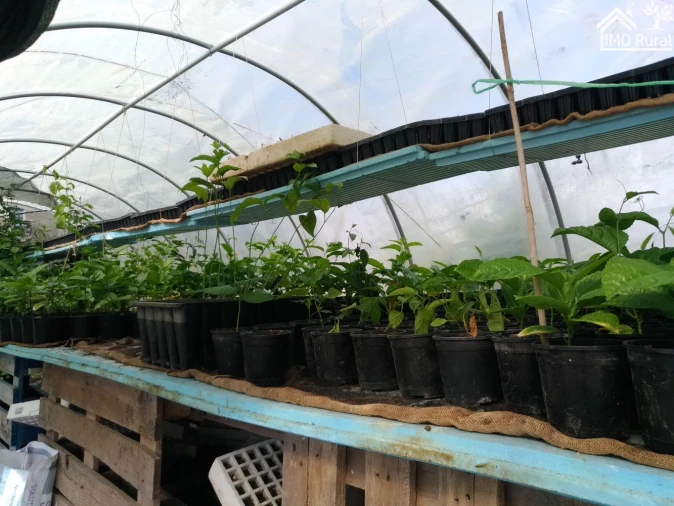 Quinta T0 para Venda em Abrantes (São Vicente e São João) e Alferrarede Foto 22