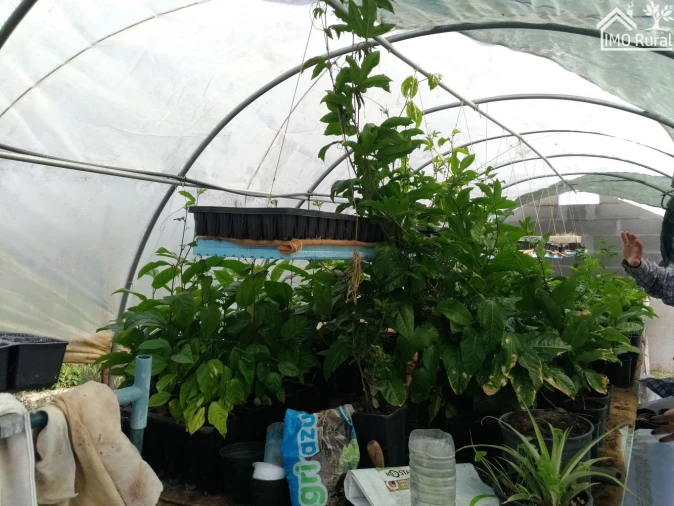 Quinta T0 para Venda em Abrantes (São Vicente e São João) e Alferrarede Foto 20