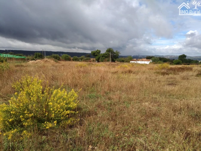 Quinta T0 para Venda em Abrantes (São Vicente e São João) e Alferrarede Foto 16
