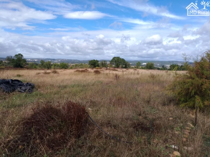 Quinta T0 para Venda em Abrantes (São Vicente e São João) e Alferrarede Foto 24