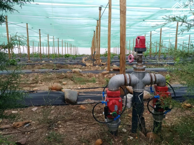 Quinta T0 para Venda em Abrantes (São Vicente e São João) e Alferrarede Foto 12
