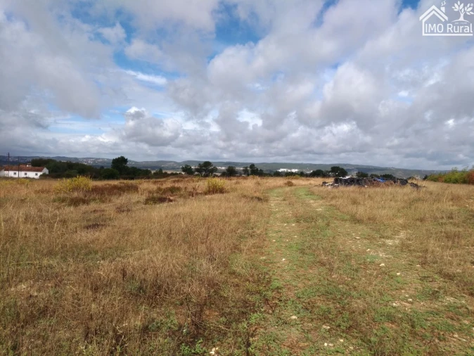 Quinta T0 para Venda em Abrantes (São Vicente e São João) e Alferrarede Foto 17