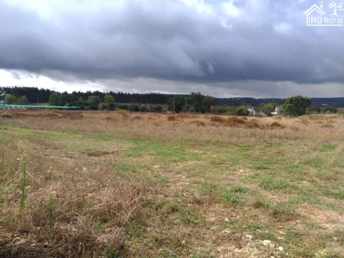 Quinta T0 para Venda em Abrantes (São Vicente e São João) e Alferrarede Foto 25