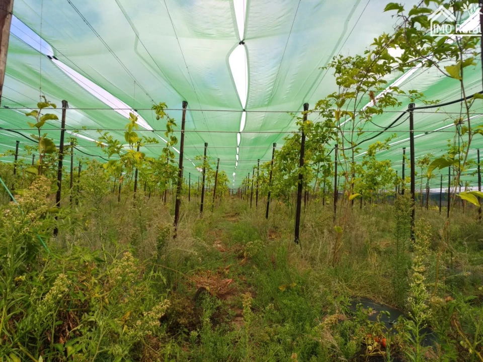 Quinta T0 para Venda em Abrantes (São Vicente e São João) e Alferrarede Foto 7