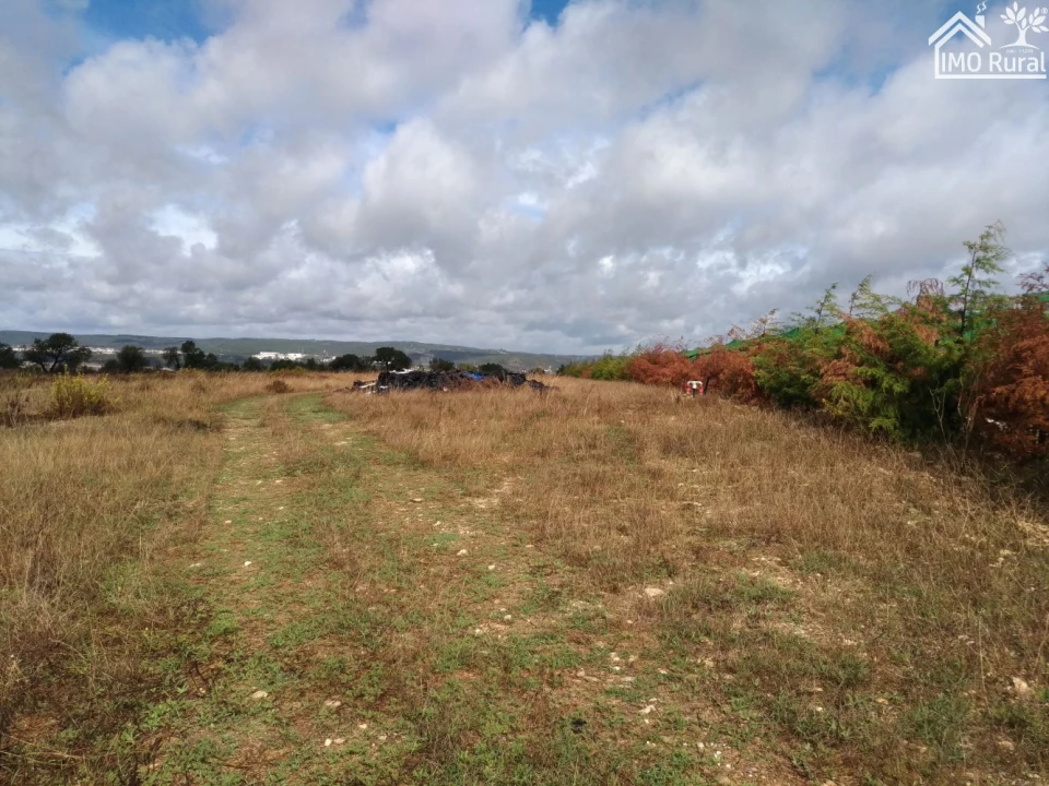 Quinta T0 para Venda em Abrantes (São Vicente e São João) e Alferrarede Foto 18