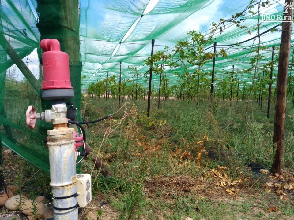 Quinta T0 para Venda em Abrantes (São Vicente e São João) e Alferrarede Foto 27