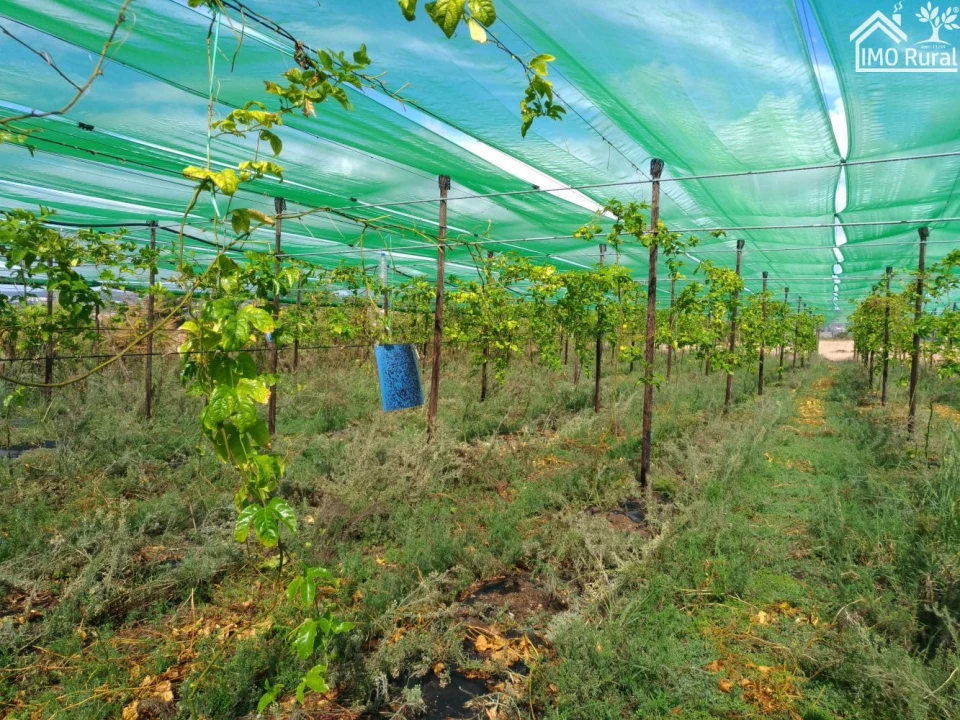 Quinta T0 para Venda em Abrantes (São Vicente e São João) e Alferrarede Foto 28