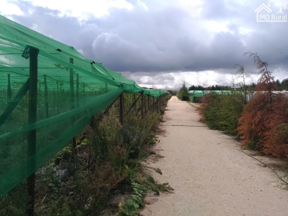Quinta T0 para Venda em Abrantes (São Vicente e São João) e Alferrarede Foto 1